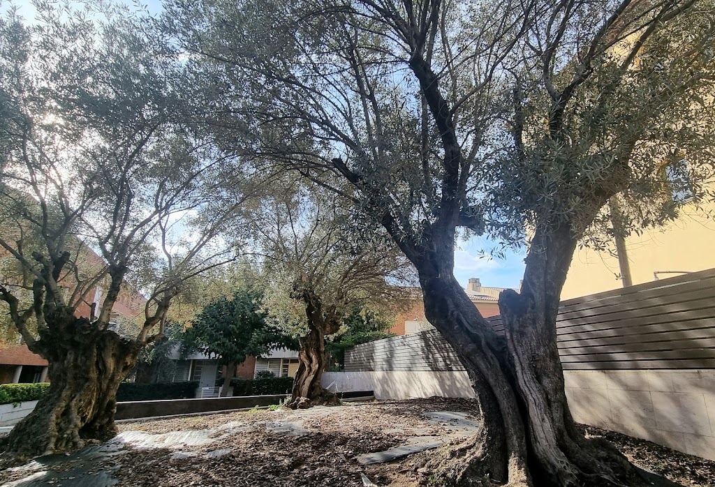 Residencia Llars Can Llovera