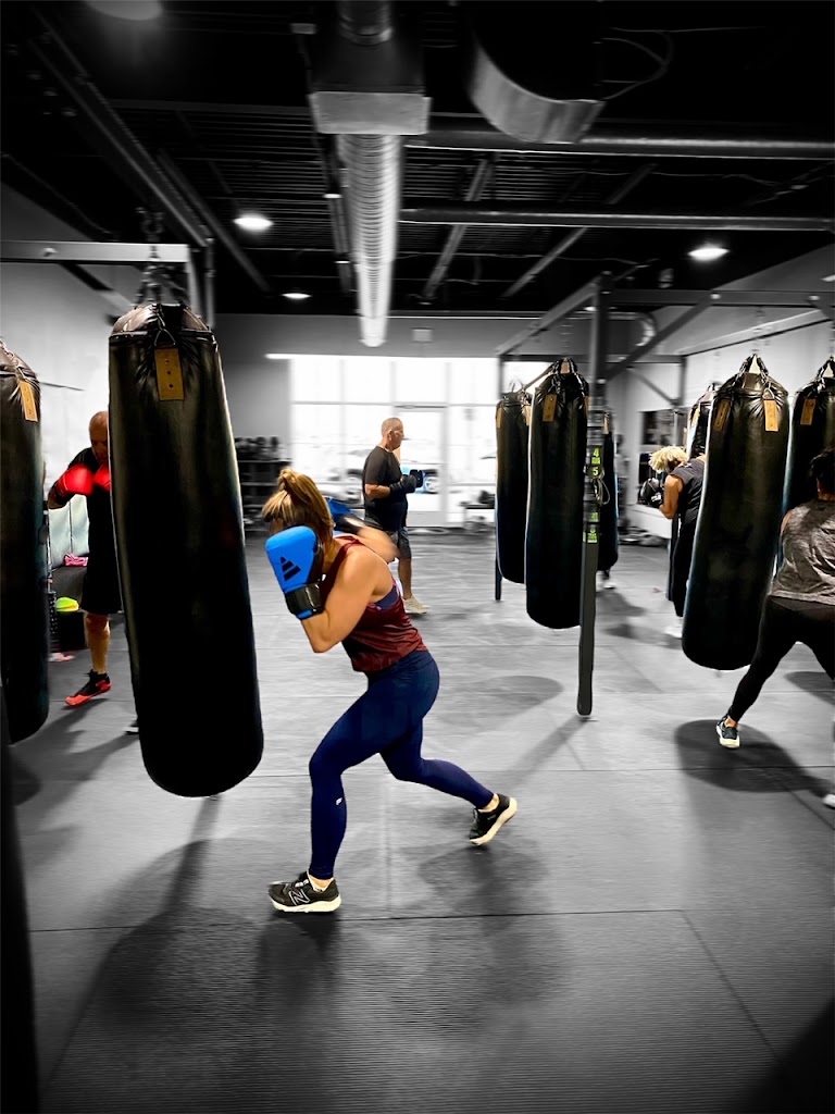  FitFight Fitness Boxing