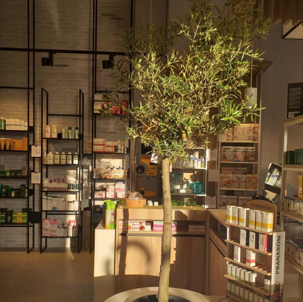 Farmacia Alejandro Casona — Del propietario