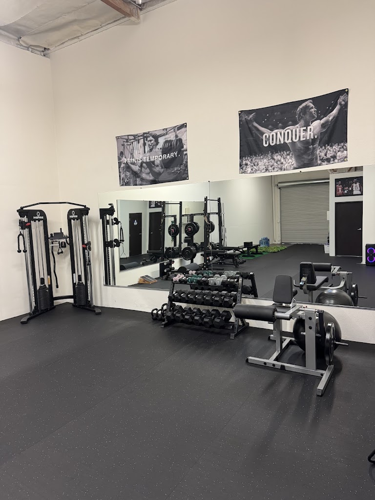  Ashley Vierra Fitness