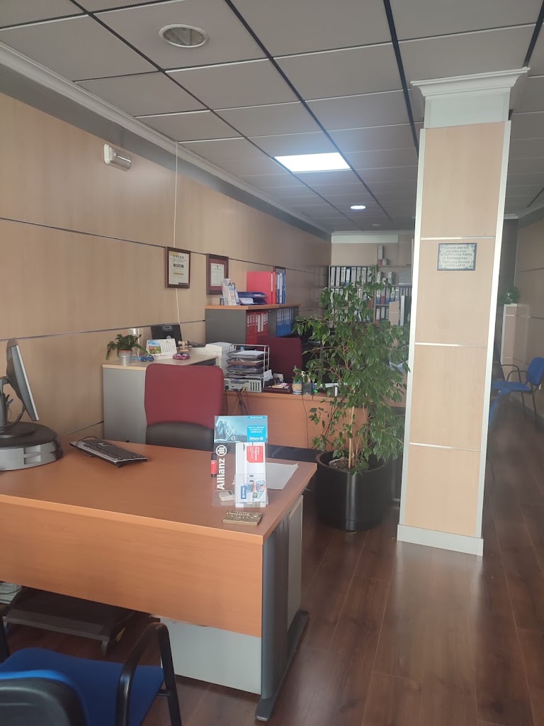 CONSTANZA MOYANO CASTELLANOS - Allianz Seguros. — Del propietario