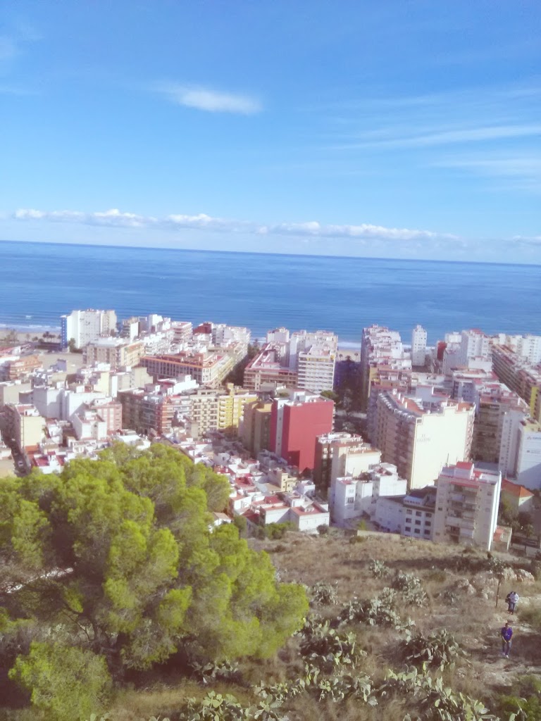 Casal Falla Placa Mongrell