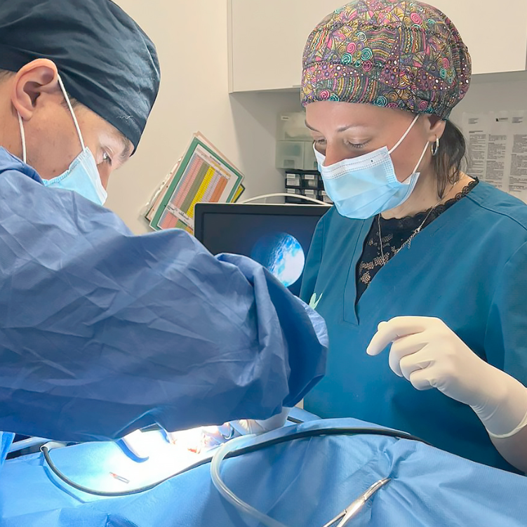 Clinica Veterinaria Mas Iglesias WECAN — Mas recientes