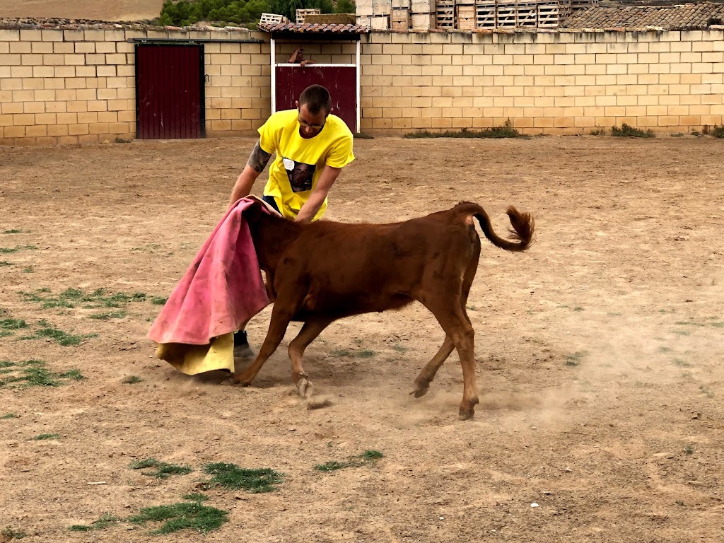 Despedidas Solteros La Rioja - Despedidas Logrono