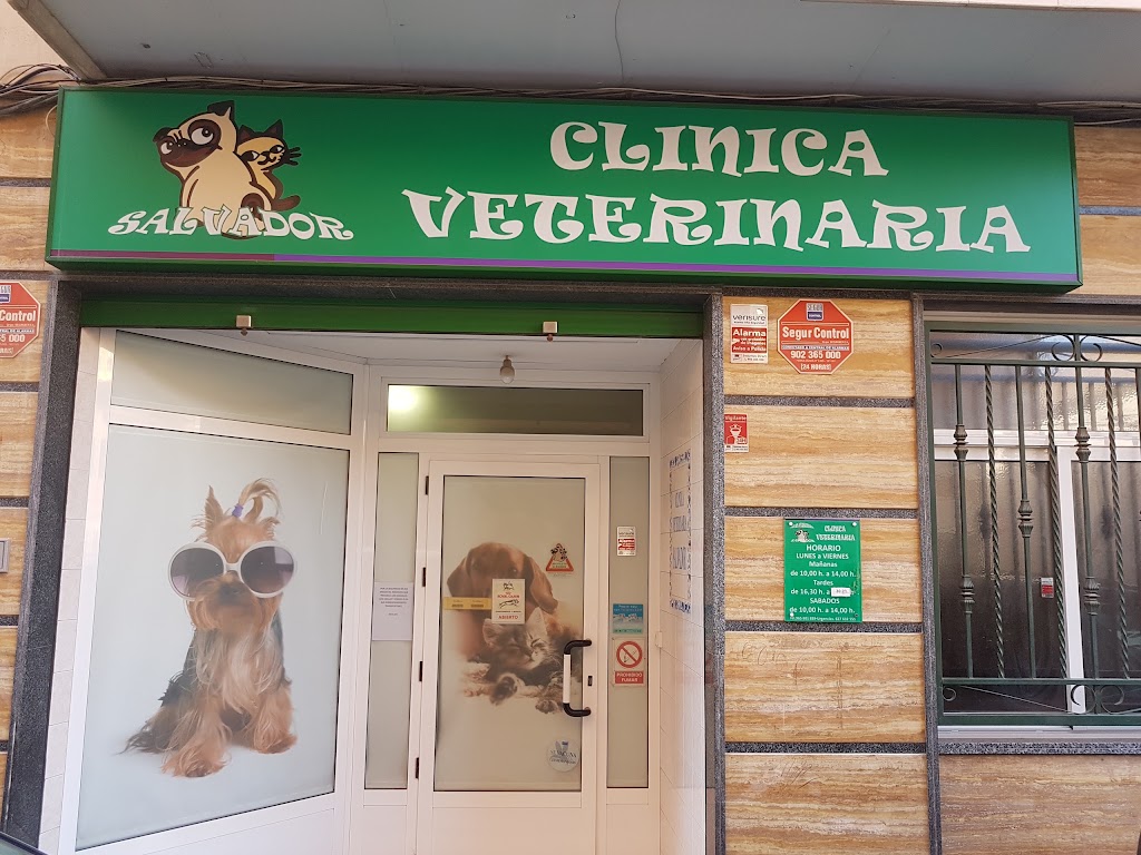Clinica Veterinaria Salvador — Del propietario