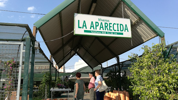 Viveros la Aparecida | Viveros en Murcia