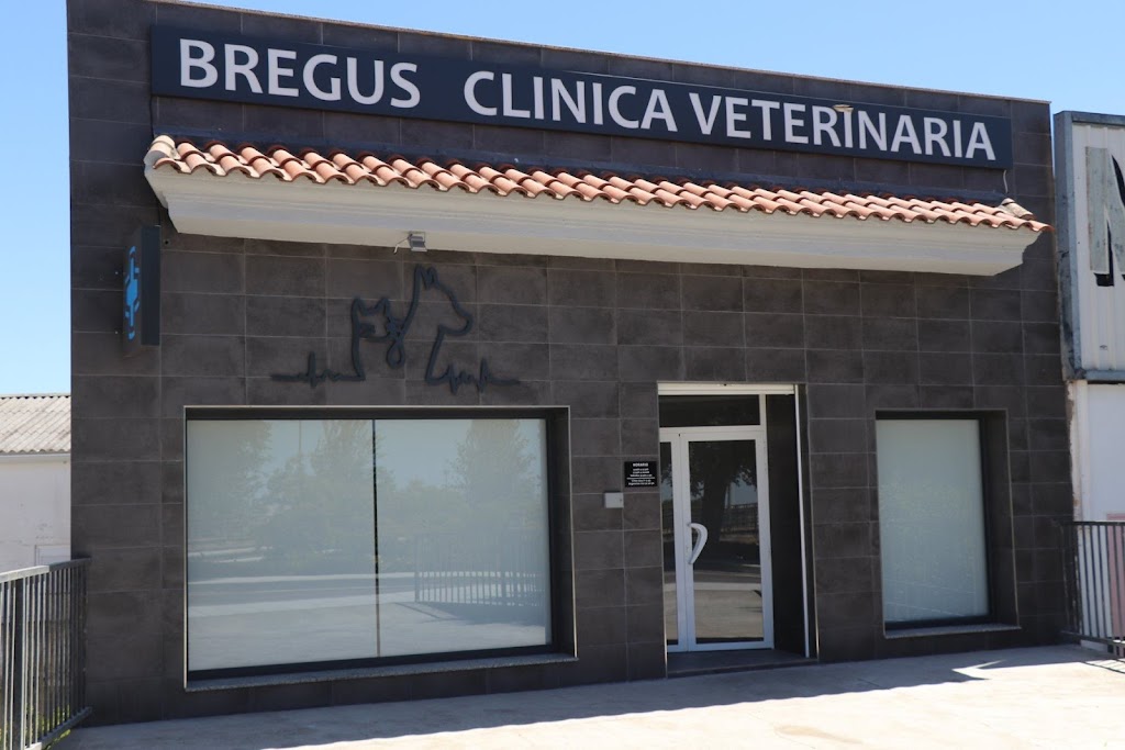 Clinica Veterinaria Bregus
