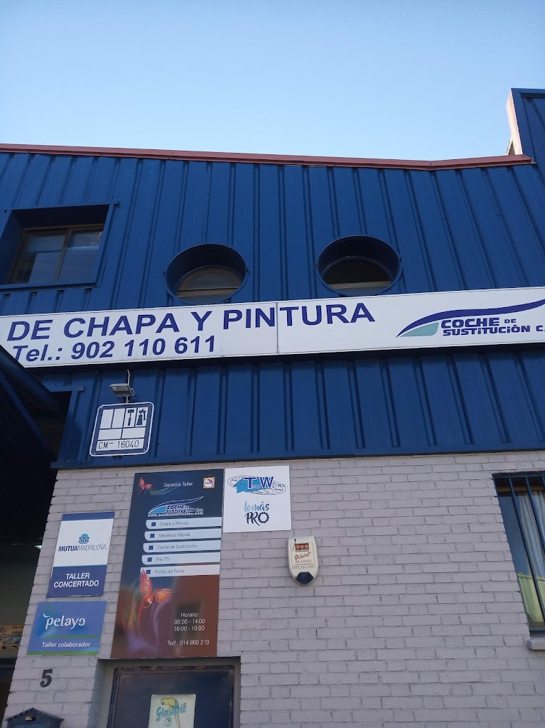 COCHE SUSTITUCION C S.L.