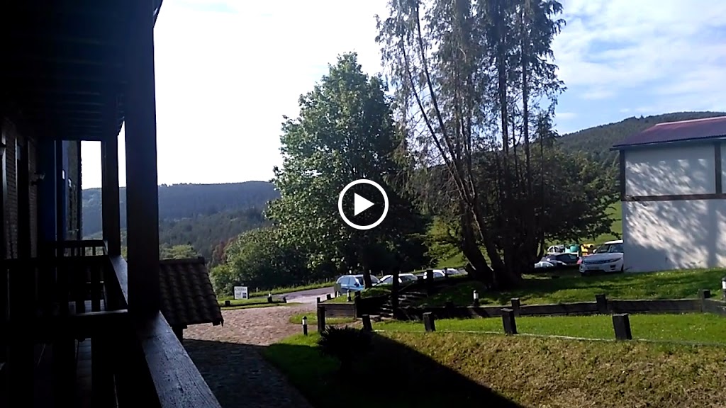 Videos