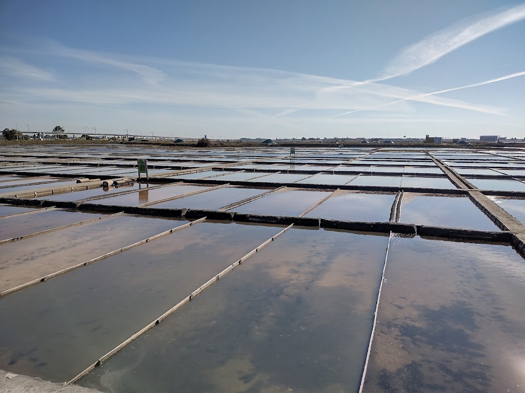 Salinas de Aveiro