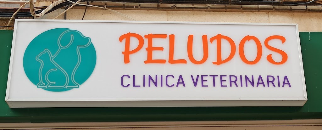 Clinica Veterinaria Peludos — Del propietario