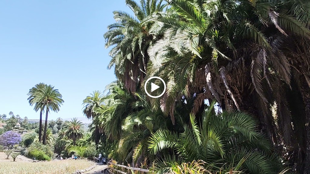 Finca el Galeon — Videos