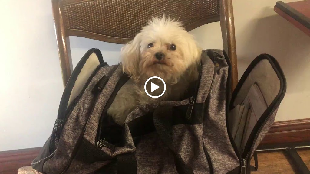  Rosalind's uptown FITNESS