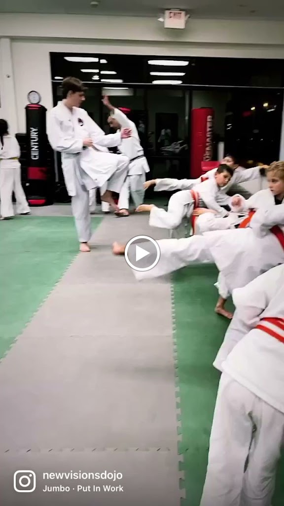  New Visions Dojo