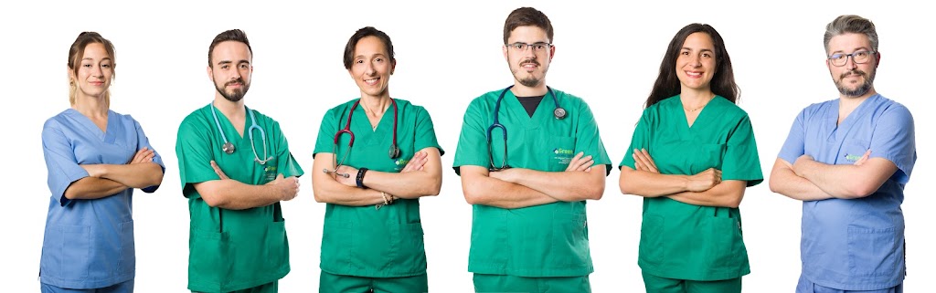 GreenVet Animal Hospital | Veterinario en Marbella