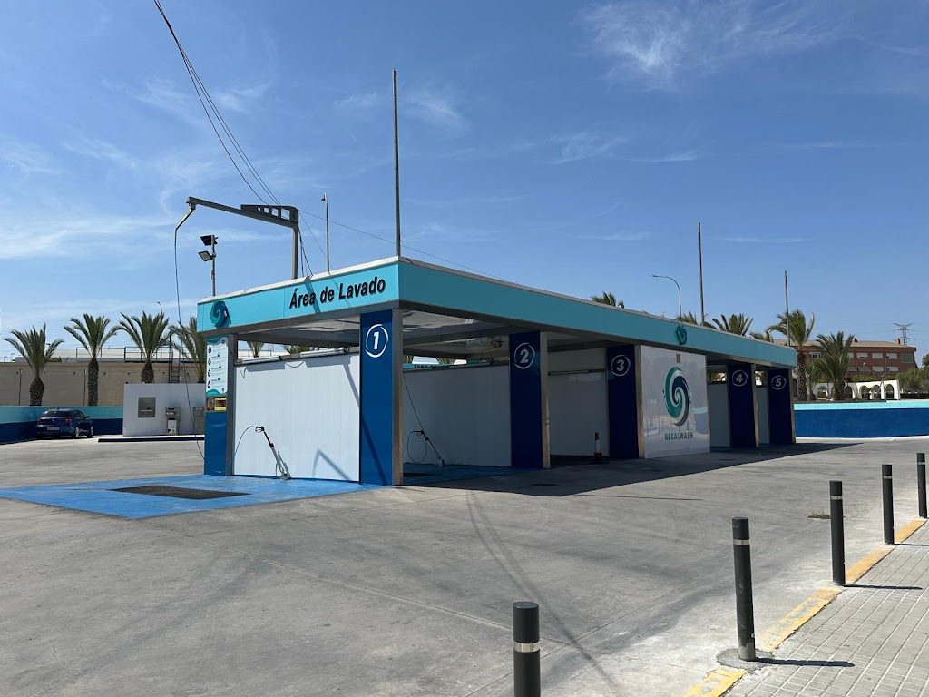 RECALWASH Elche