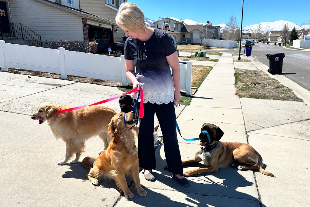 Dog trainer in West-Jordan