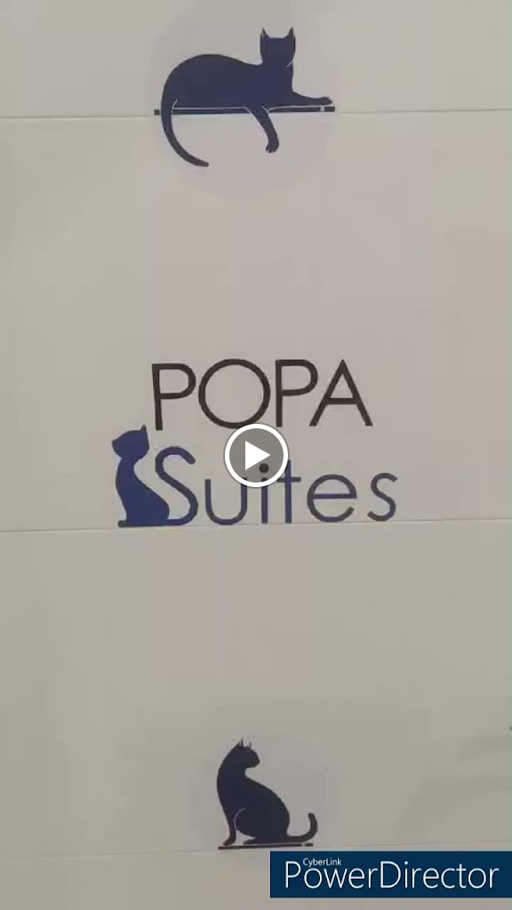 Clinica Veterinaria SANTA ICIA — Videos