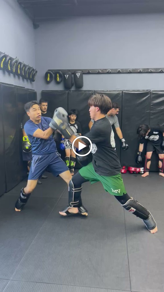  IB MMA Mixed Martial Arts