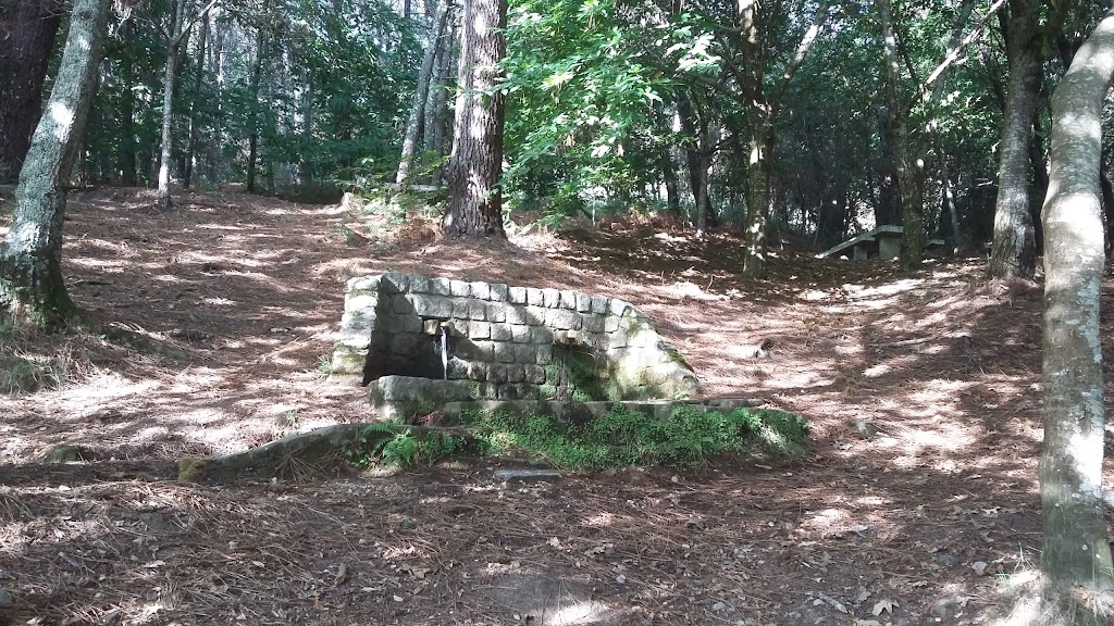 Area Recreativa do Espineiro