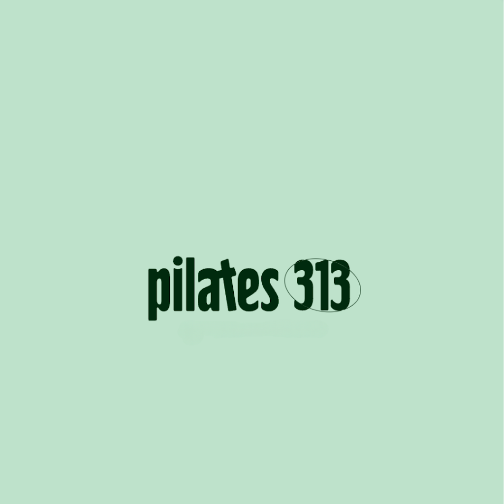  PILATES 313