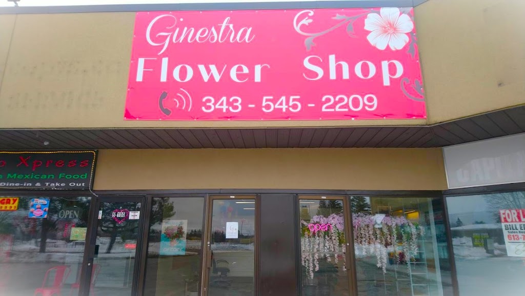 Ginestra Flower Shop