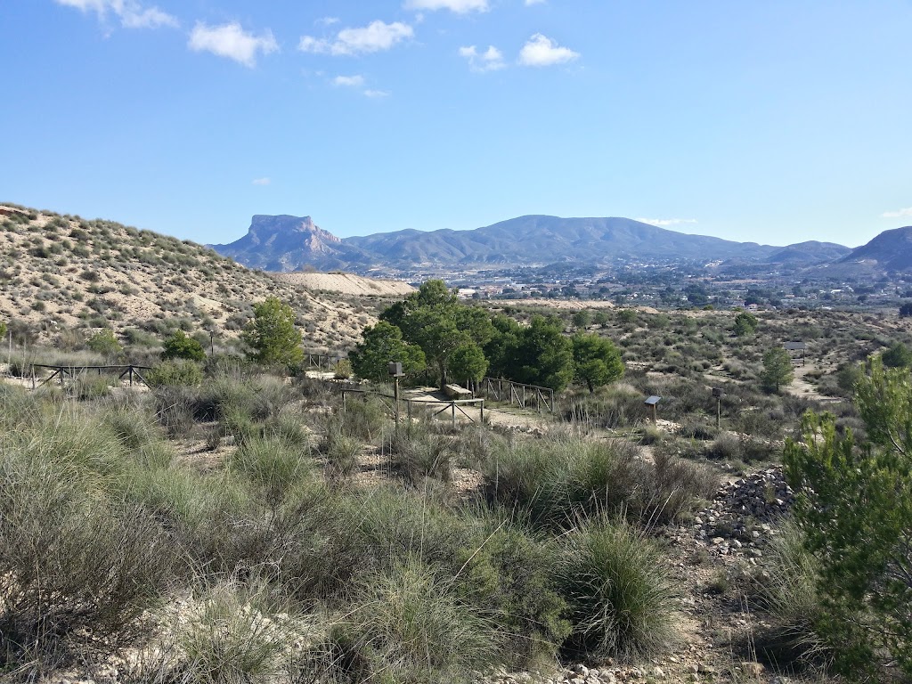 Area Recreativa Pinada Del Trinitario