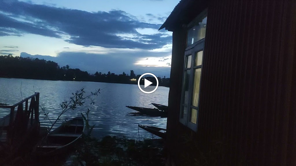 Videos