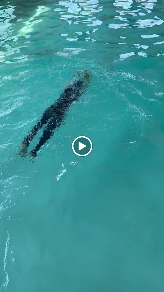  Nabard Elite Swimming