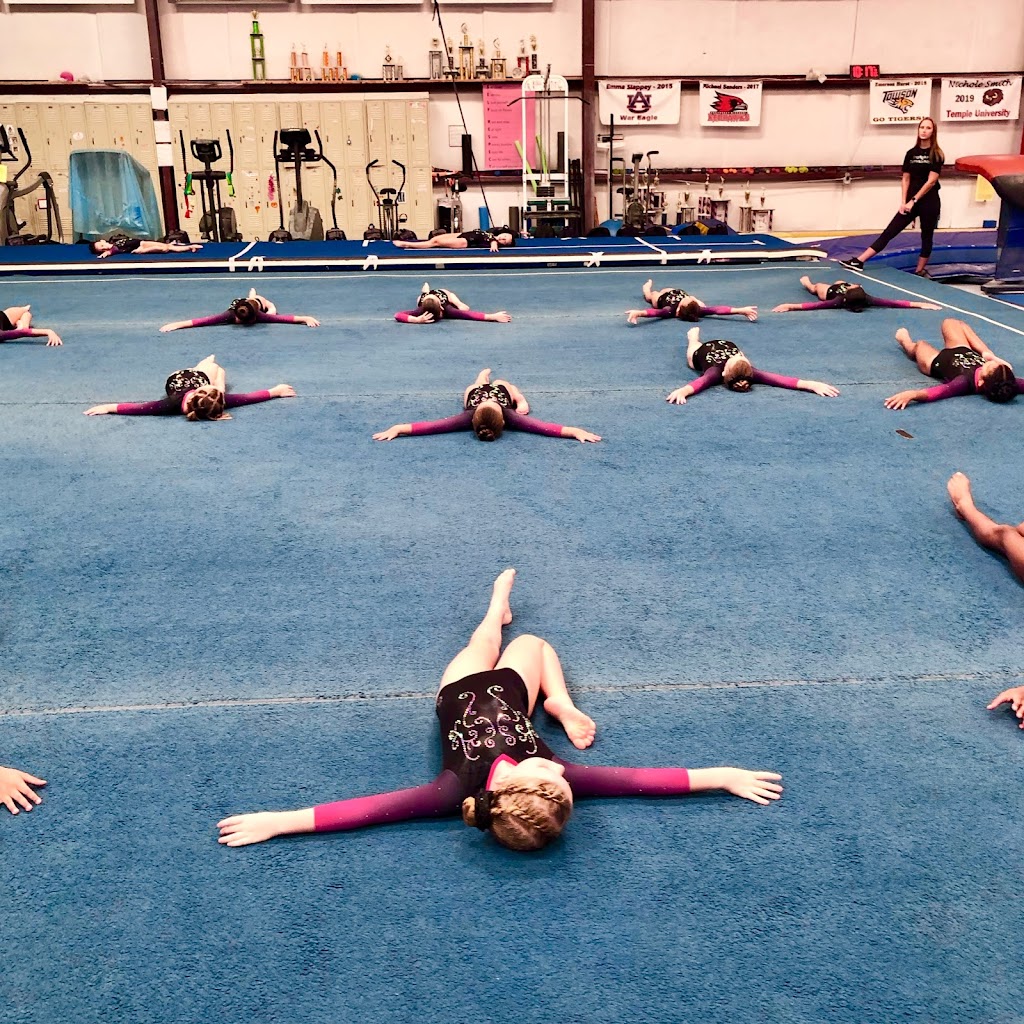  Starlight Gymnastics