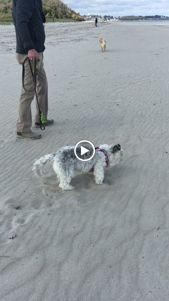  STRONG FIT HEALTHY Personal and group fitness training by Lisa Kiely