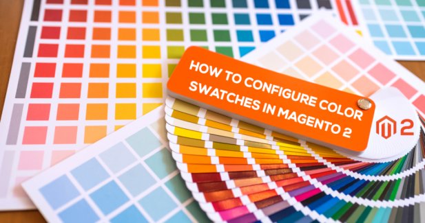 Top Magento Support Agency And Magento 2 Development Service