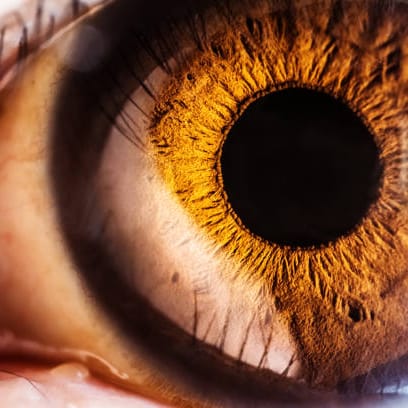 Trinetra Eye Care And Optical Center