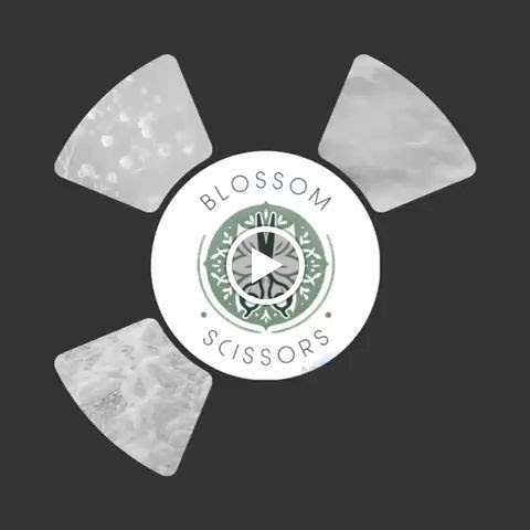 BLOSSOM SCISSORS. La Zubia — Videos