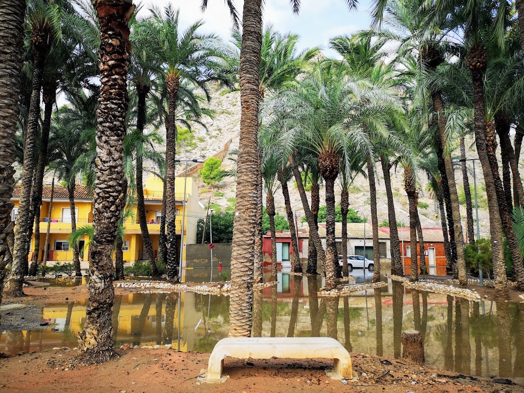 Parking bus orihuela