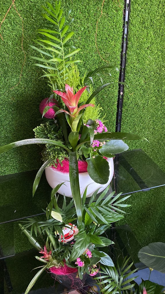Floristeria Juanes - Ubeda — Jardin