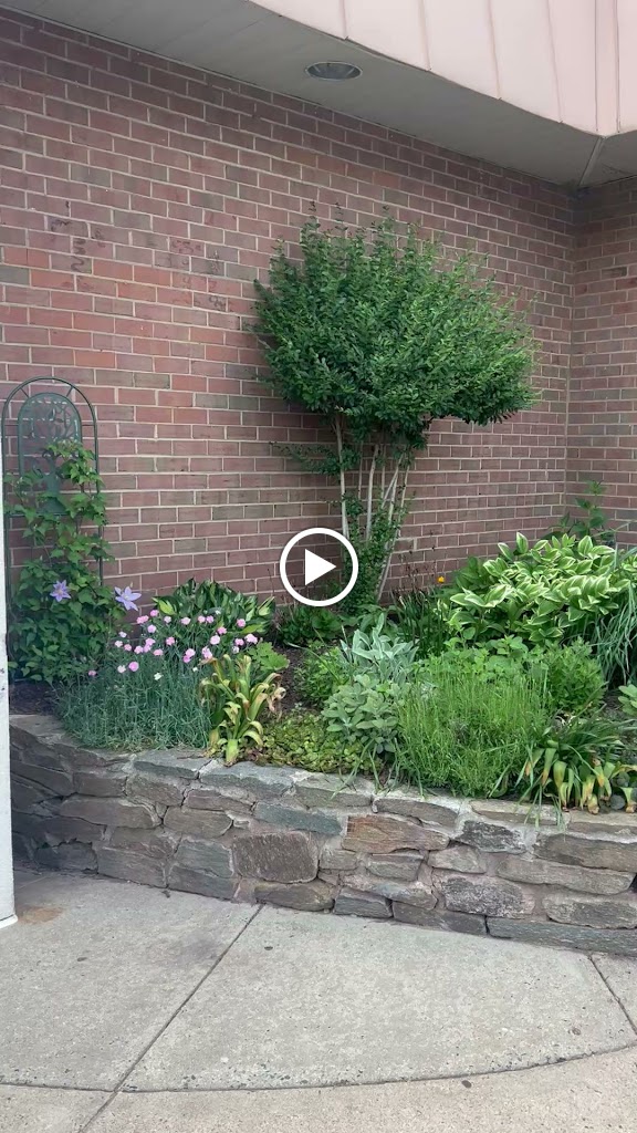  Body & Brain Yoga Tai Chi