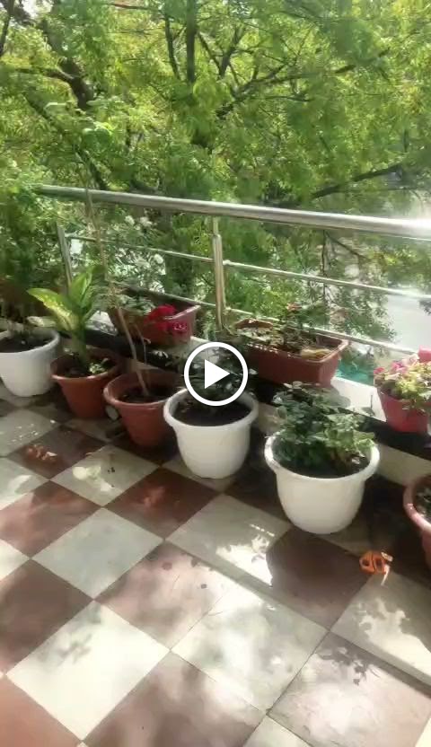 Videos