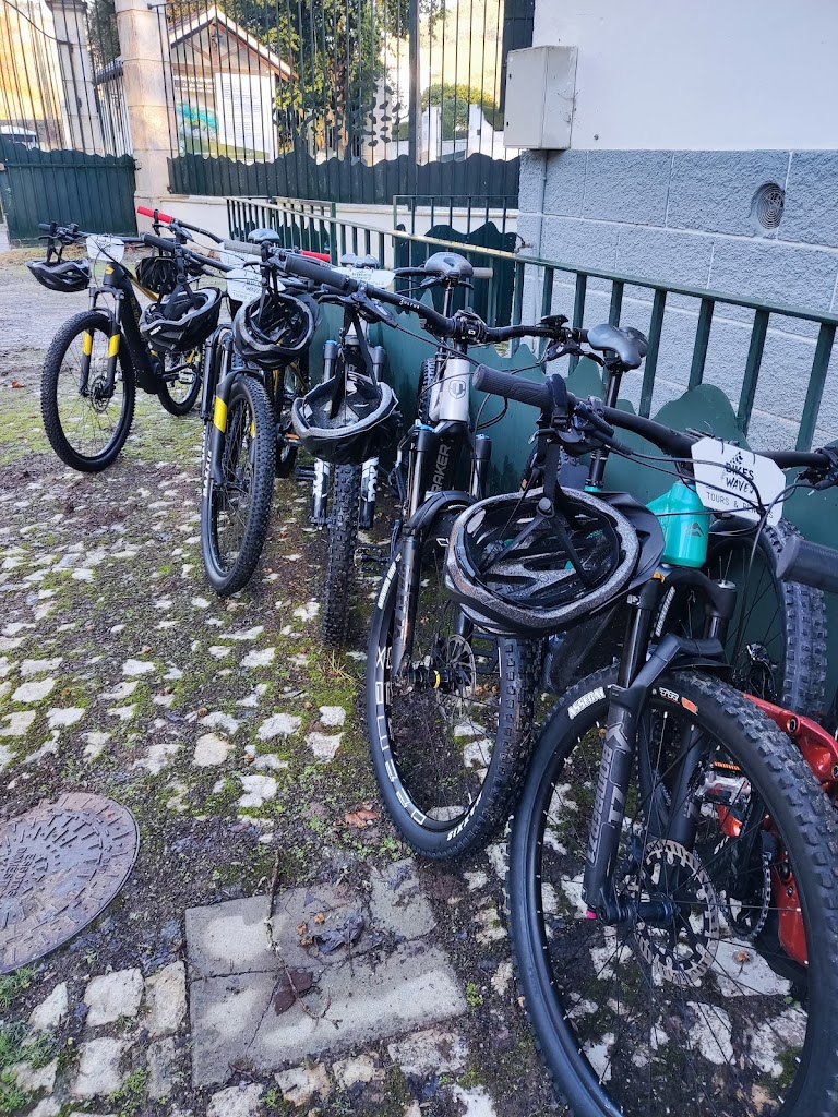Serviço de Aluguer de Bicicletas em Torres-Vedras