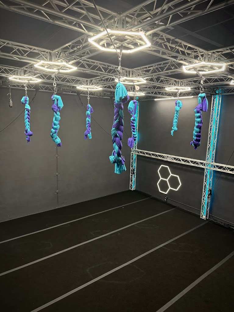  Dragonfly Studios LA