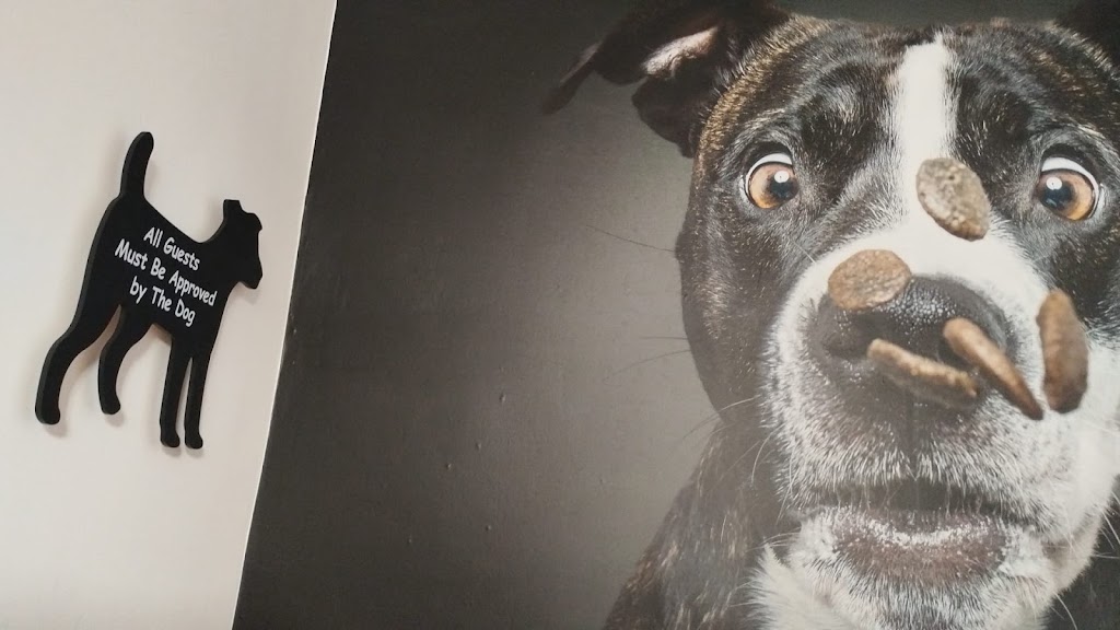 Zen-Vet Centro Veterinario Integrativo — Del propietario