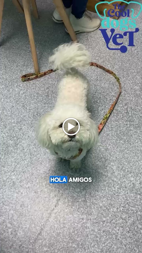 Vídeos