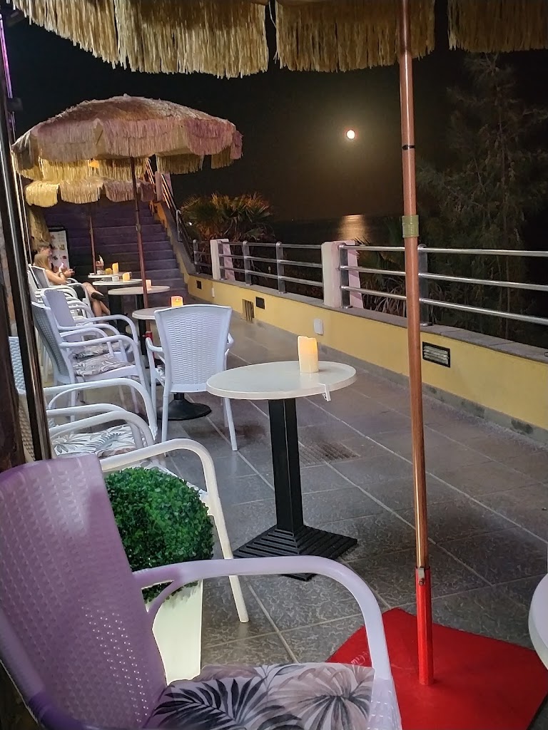 Bar TERRAZA TROPICAL — Ambiente