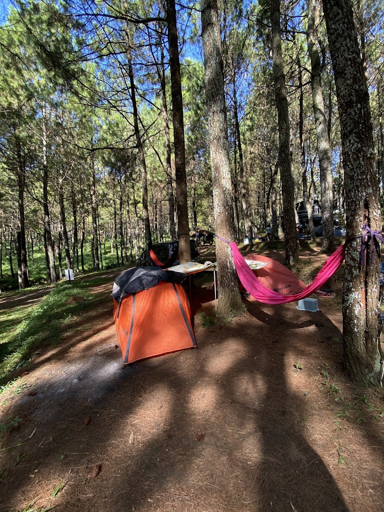 Taman Pinus Campervan Park