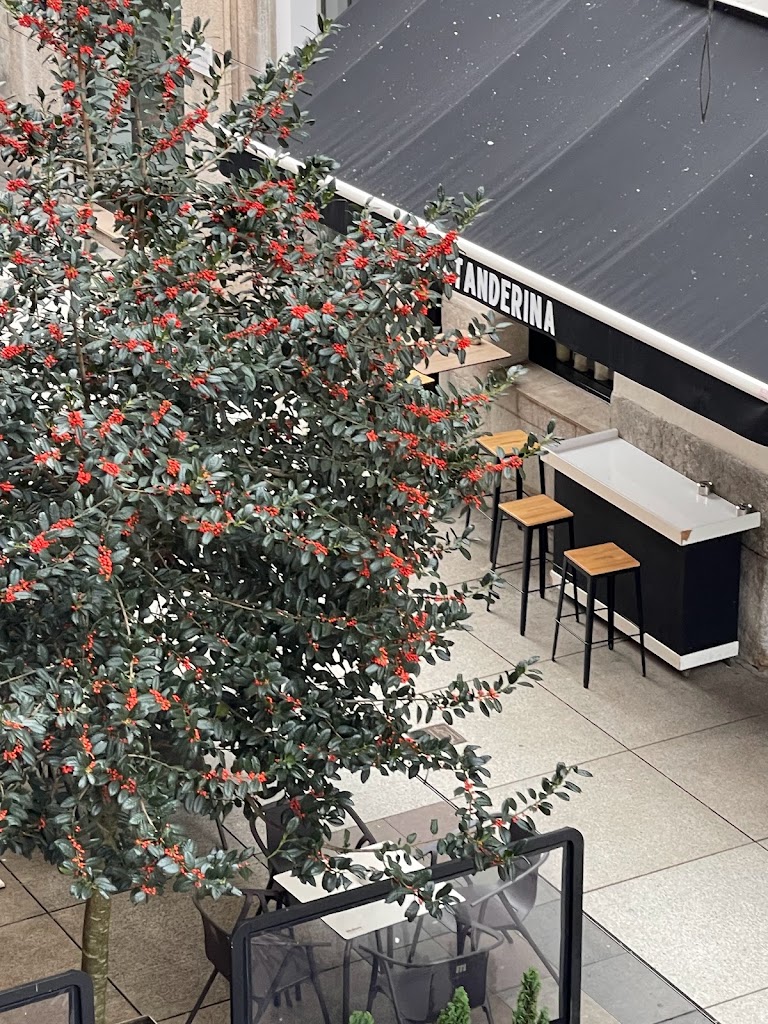 La Santanderina Santander — Ambiente
