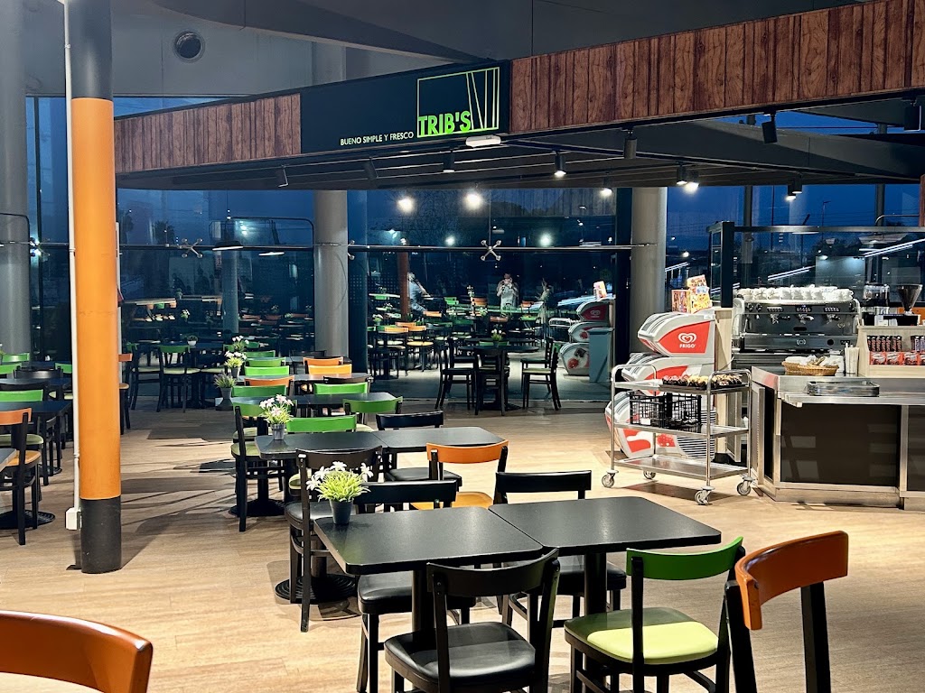 Trib S Aeropuerto Valencia — Ambiente