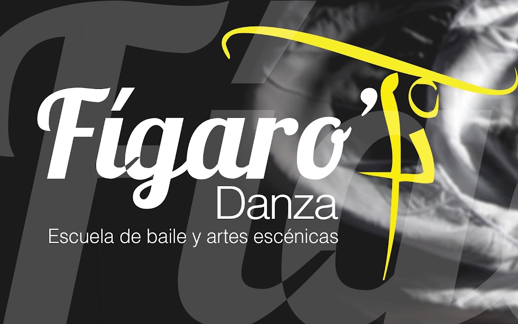 Figaro Danza (Escuela De Baile y Artes Escenicas) — Del propietario