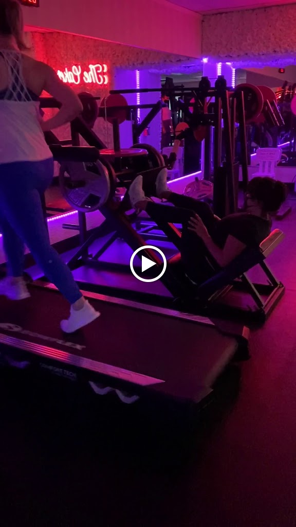  The Cakery by Marfit