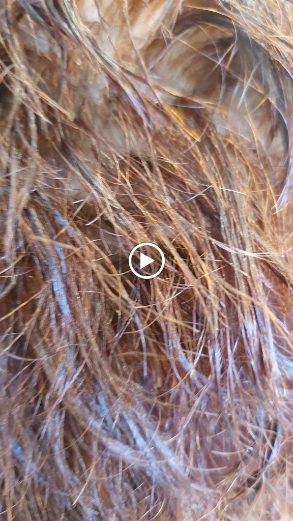 Peluqueria y Estetica Ana Bella — Del propietario