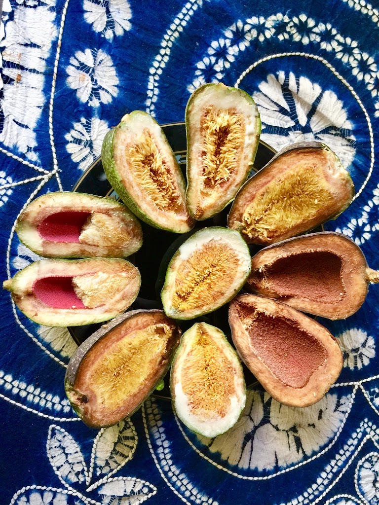 愛玉伯ㄟ厝 的照片